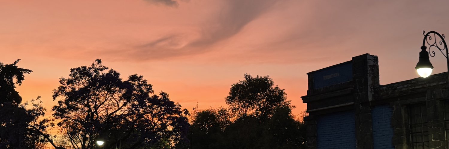 arevx_'s profile banner image