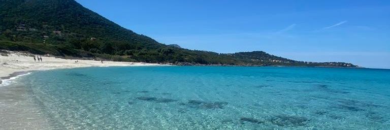 Guillaume Robier ©️🌐 banner
