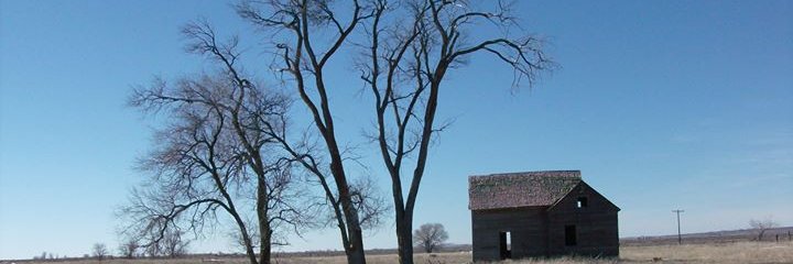 DanBierce's profile banner image