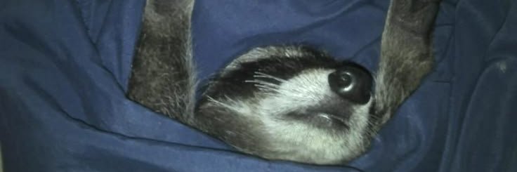 GglPerson's profile banner image