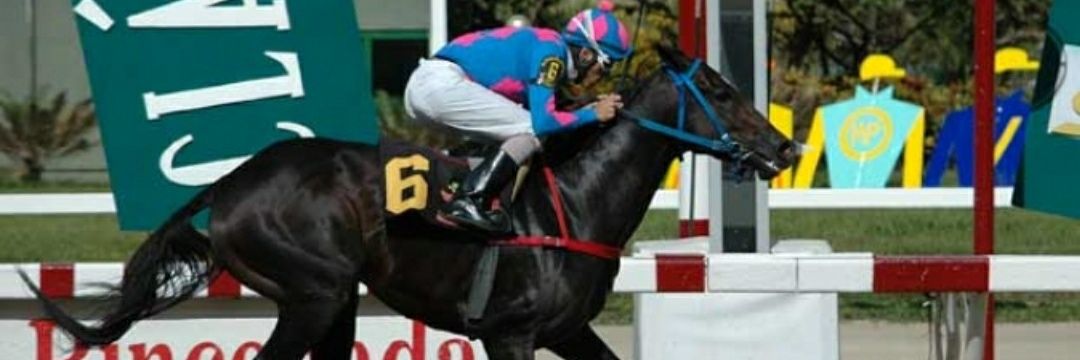 Antonio Machado Racing banner