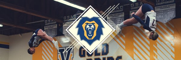 VU_Stunt Profile Banner