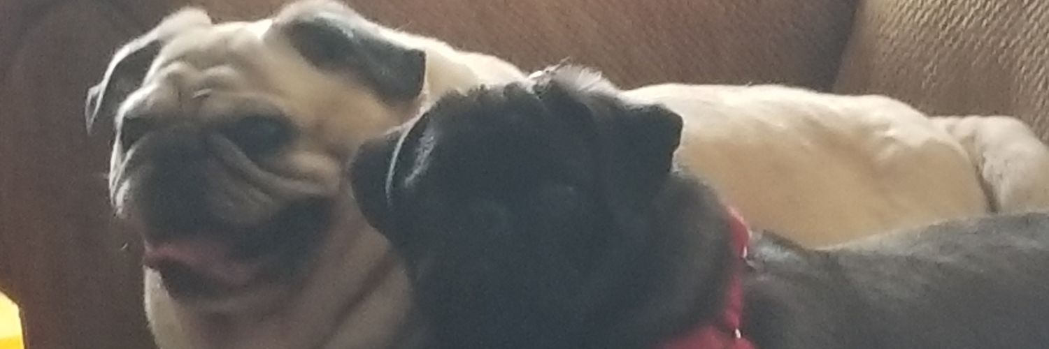 💙❤ Resister Sister Forever💙 ❤ banner