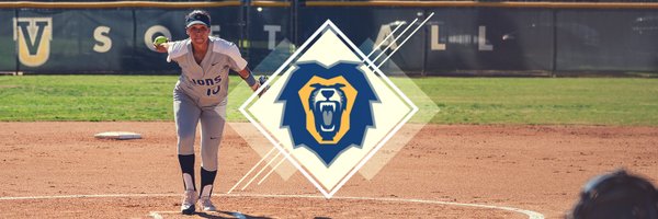 VU_Soft Profile Banner