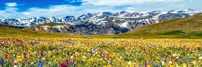 Chun-Che OU 🍁 banner