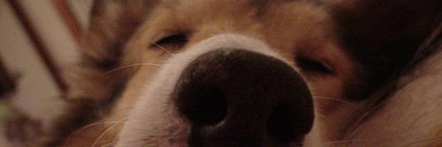 norie_ide's profile banner image