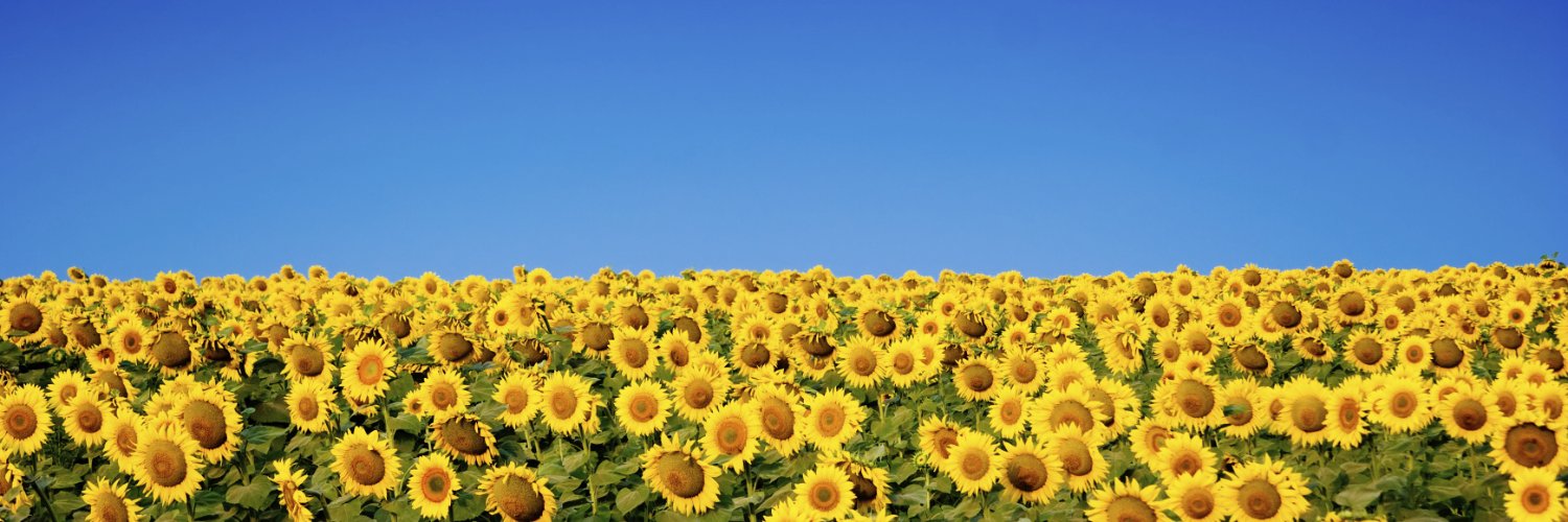 azure78_com's profile banner image