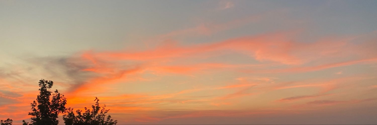 budistrobo's profile banner image