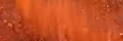 Thichbus banner