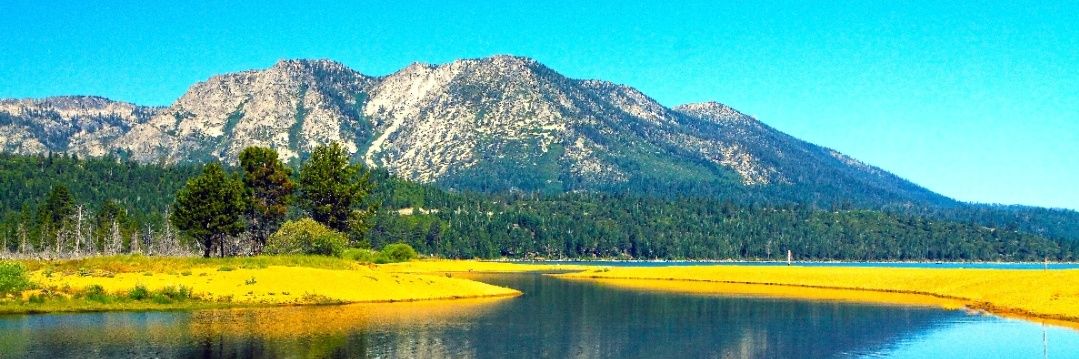 Trafford Residents Against 5G & AI banner