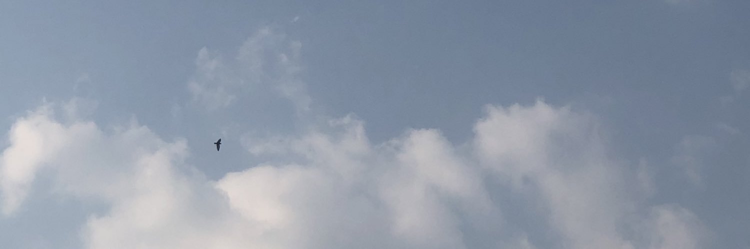 ชามะลิหวาน100%🌱 banner
