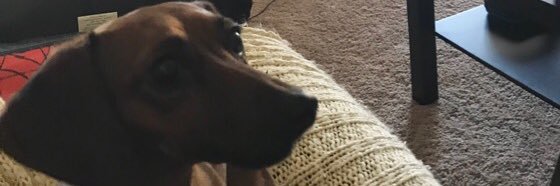 regzm71's profile banner image