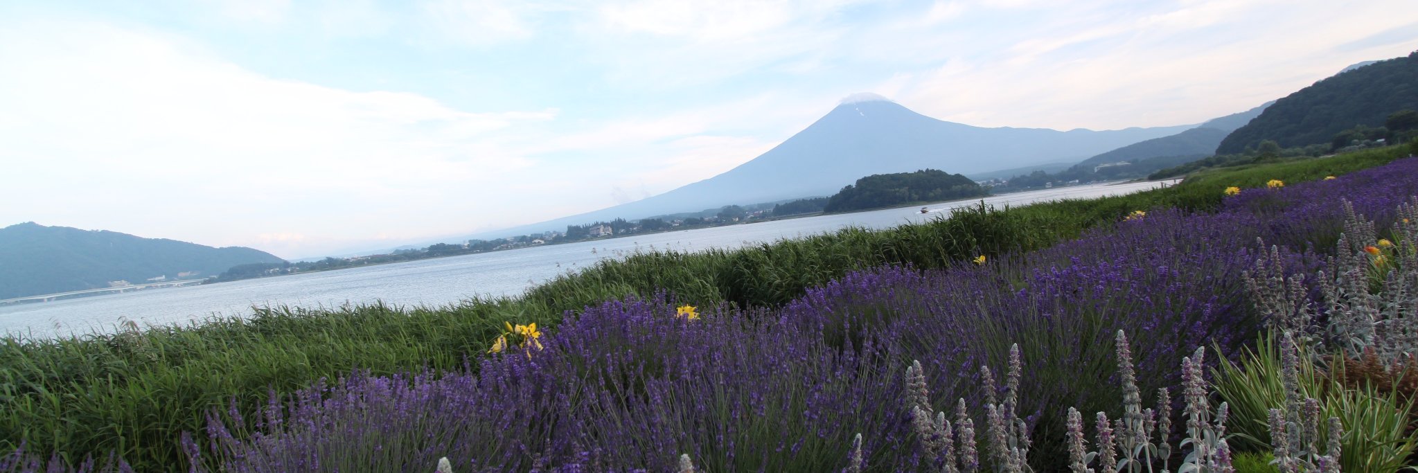 ritalurin's profile banner image