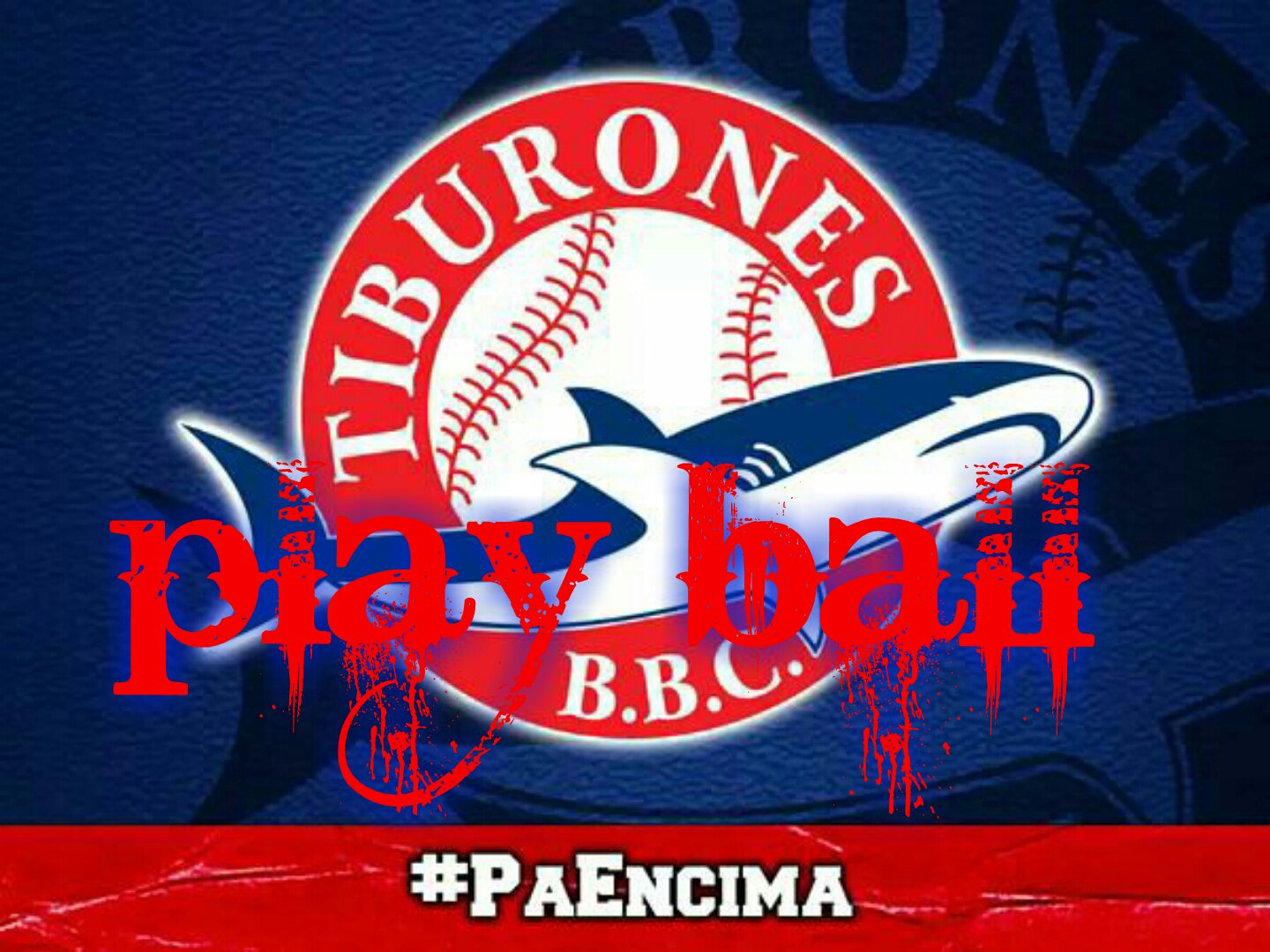 Freddy Vicente banner