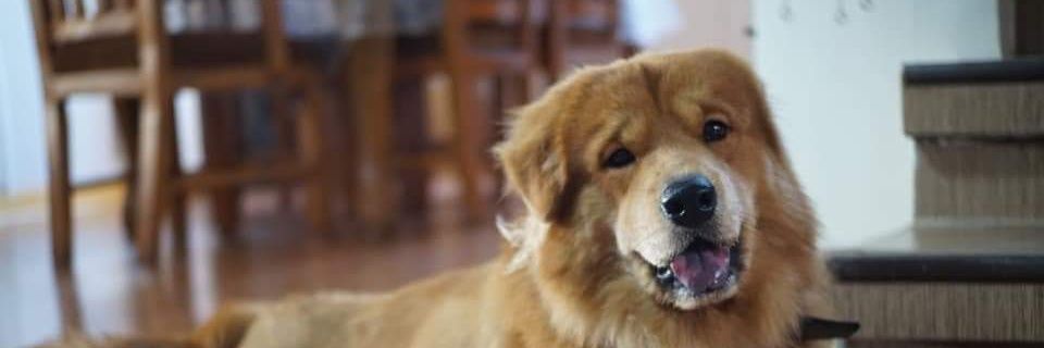 hughchui's profile banner image