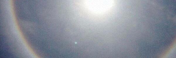 rosamicaela's profile banner image