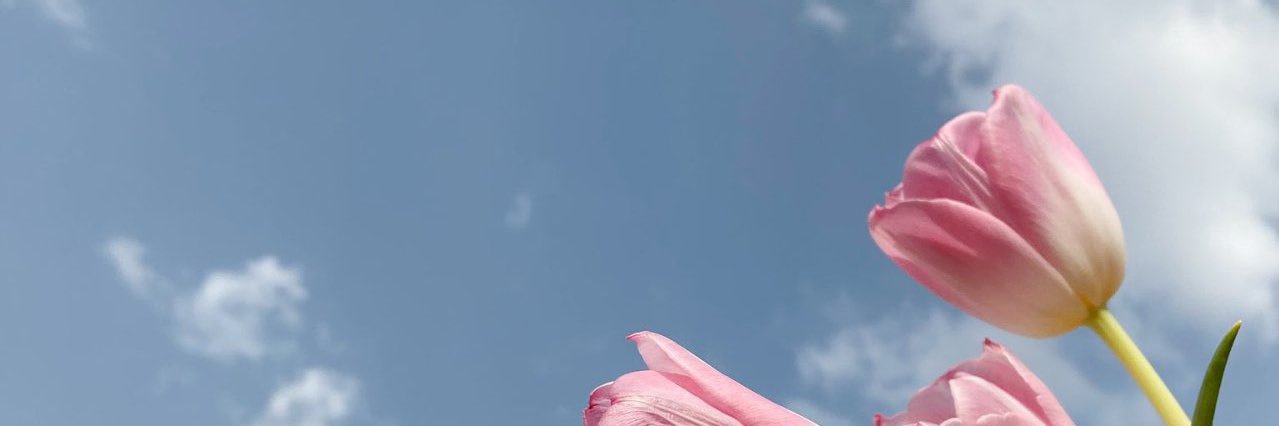 H13n91's profile banner image