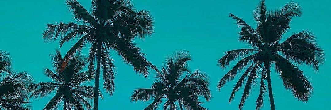 samartiins's profile banner image