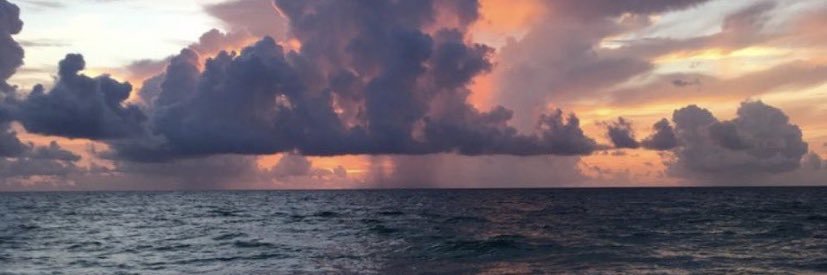marinaluciaa's profile banner image