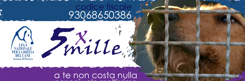 Jacopo Stagira banner