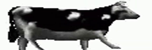 teehee_vibes Profile Banner