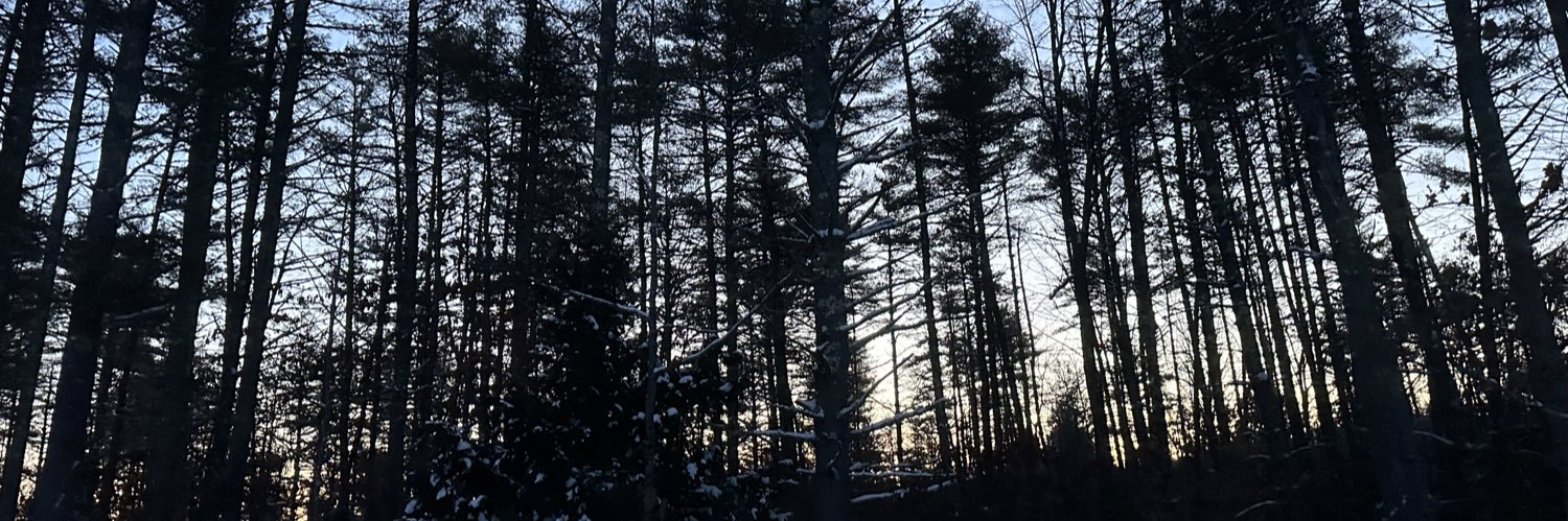 Arcfox8288's profile banner image