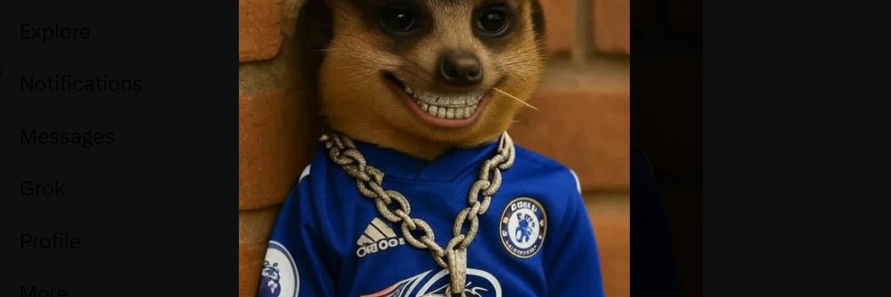 moddEli💫💯 banner