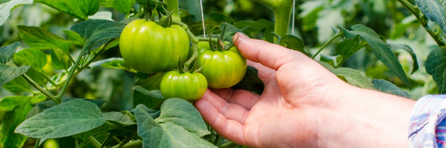 LLUrbanFarms's profile banner image
