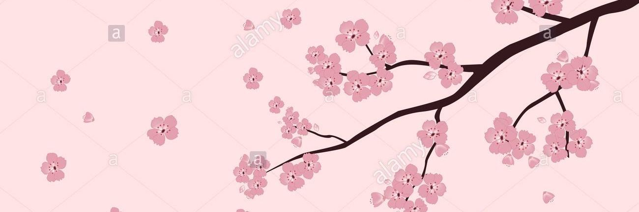 SakuraHa2020's profile banner image