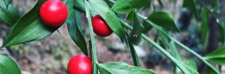 Amets Uriarte banner