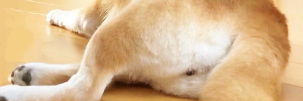 显's banner