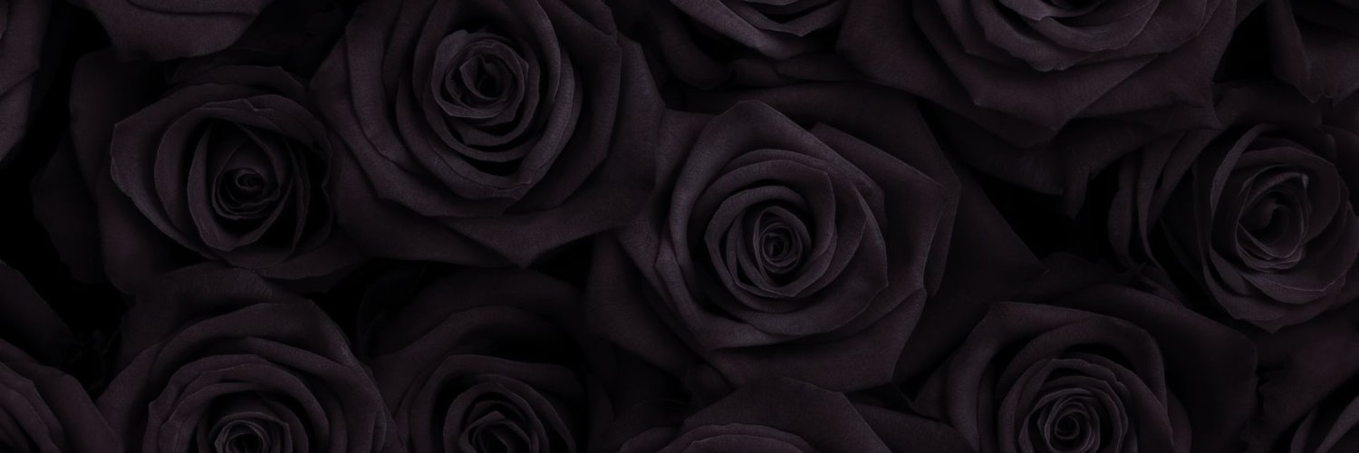 cecilramone's profile banner image