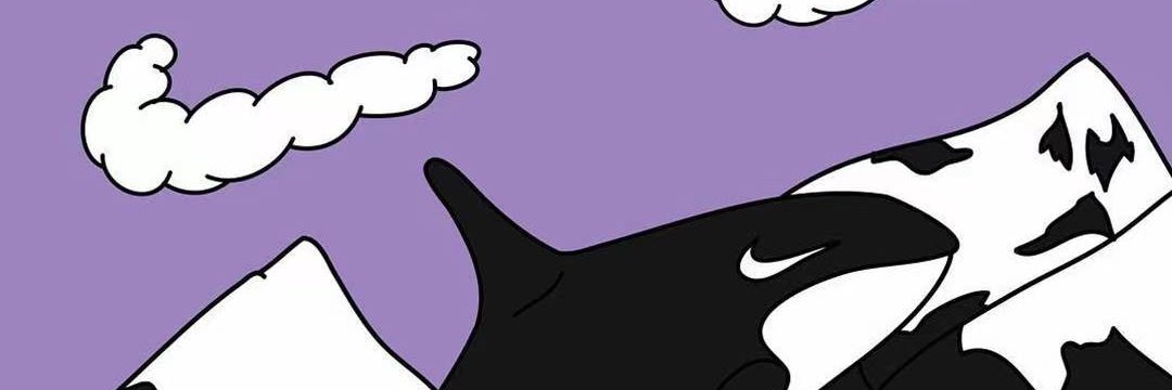 yomarkys blanco꧁IP꧂ banner