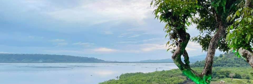 Boholano Boi banner