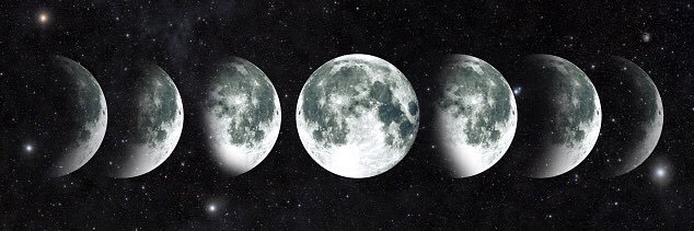 Megan banner