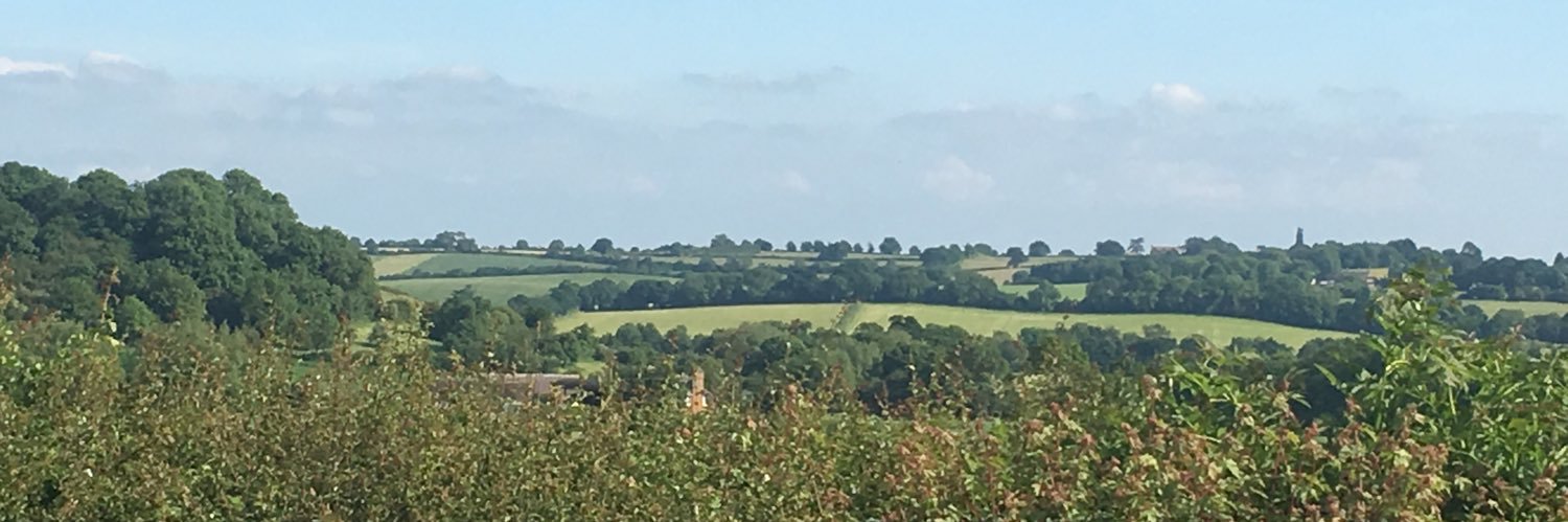 HayleyOakes's profile banner image