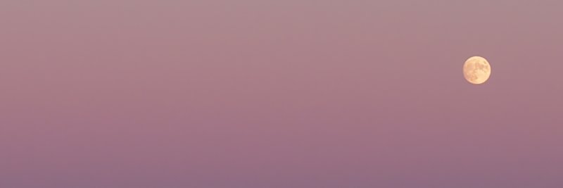 rvarjonen's profile banner image