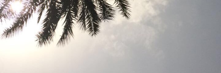 XLol50's profile banner image