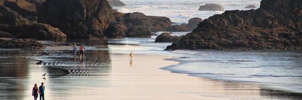 usmanal38991909 Profile Banner