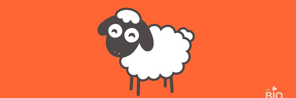 JavierCopaira's profile banner image