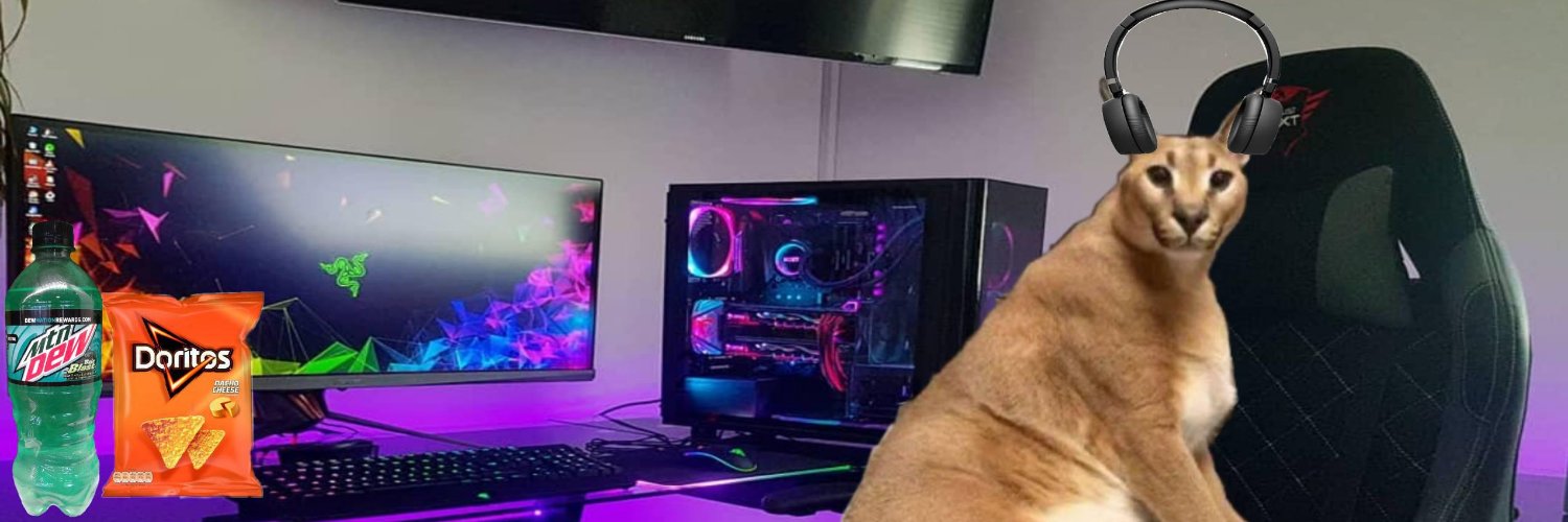 azo 🇫🇷🇵🇸 banner