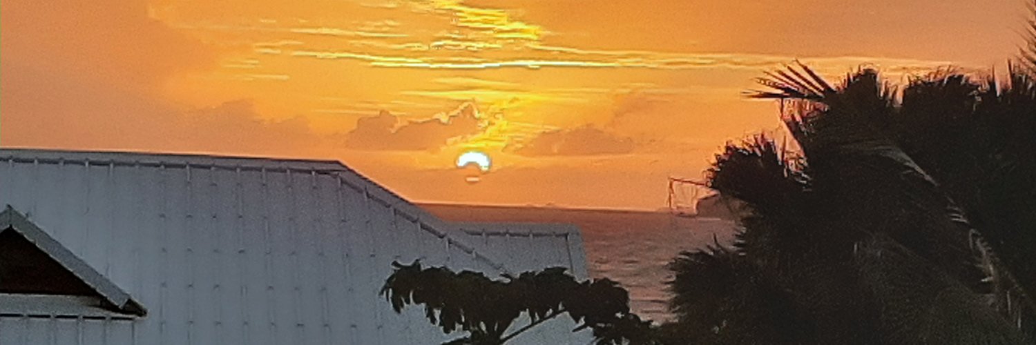 maggielnb's profile banner image