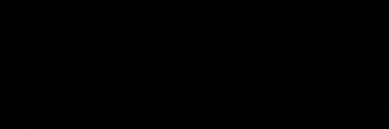 BDS_Bre's profile banner image