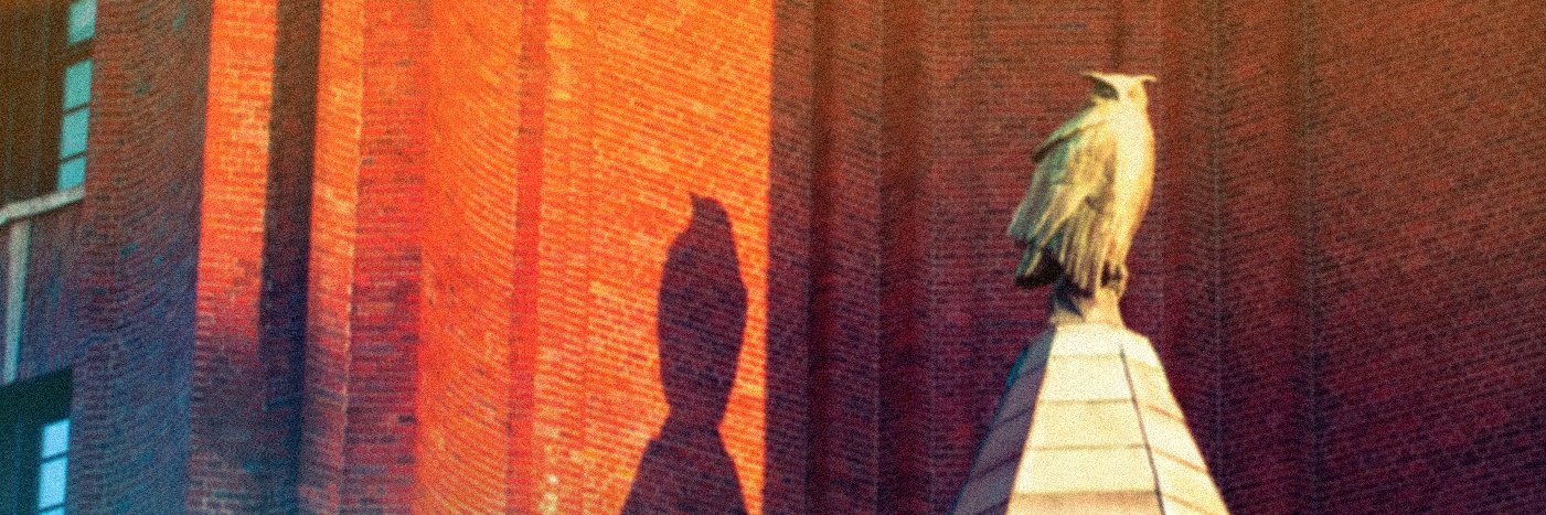 Vibulanius's profile banner image