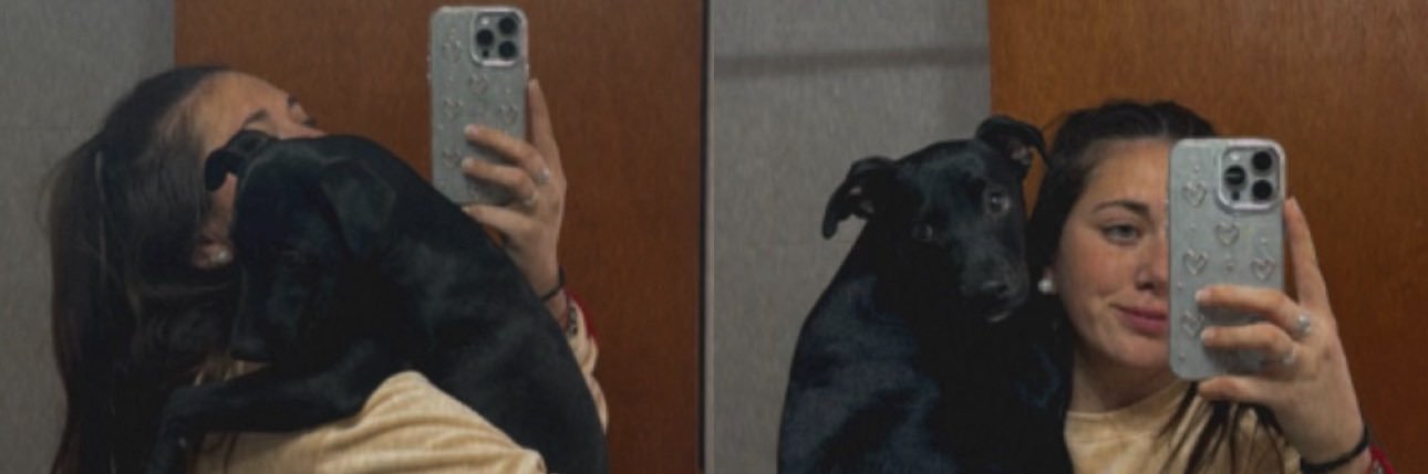 NickyLesce's profile banner image
