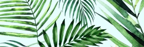 janisssb's profile banner image