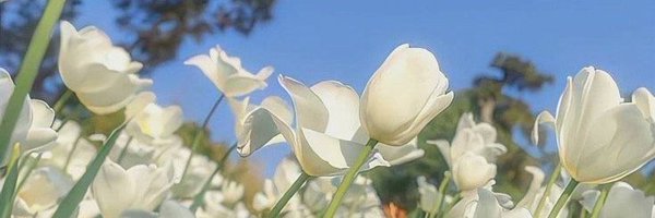 TisaLP_ Profile Banner