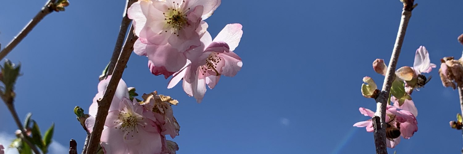 Zuttr⚡️🇺🇸 banner