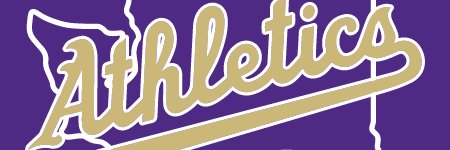 Washington A's 16u Purple banner