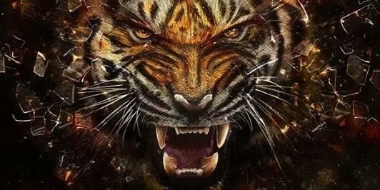 jeff_rmz's profile banner image